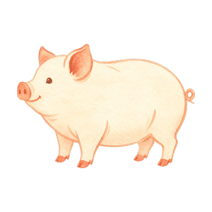 冲猪生肖插图